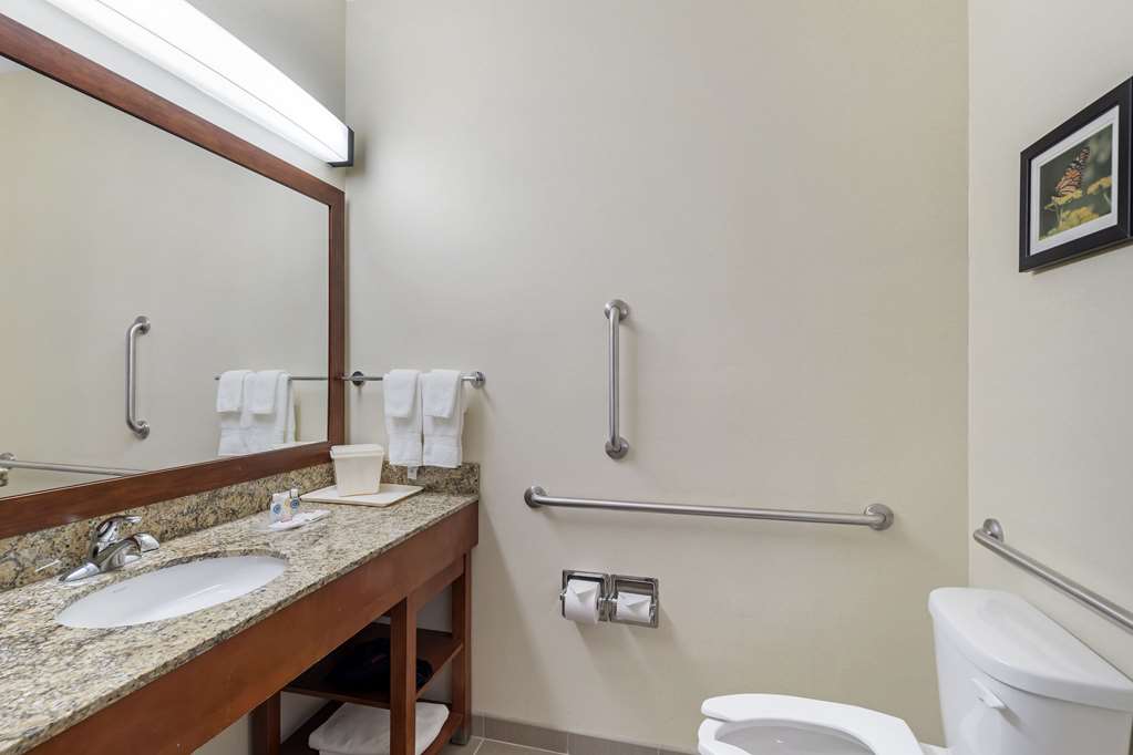 Comfort Suites Normal University area - photo 10
