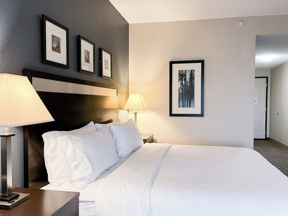 Holiday Inn Express & Suites Morton Peoria Area by IHG - photo 28