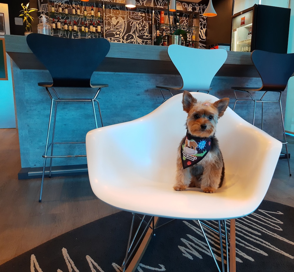 ibis Passo Fundo Centro Hotel in Passo Fundo, Brasil