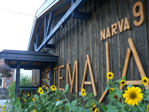 Kalameeste Maja — Mustvee — photo 4