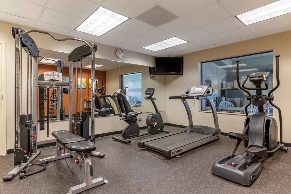 Comfort Suites Grand Rapids South - photo 34