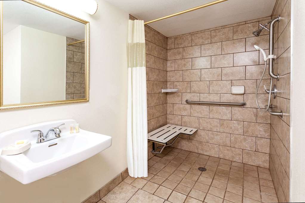 Days Inn & Suites by Wyndham Roseville Detroit - photo 8