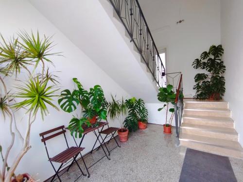 Mamma Assuntina - last minute hotel in Lecce