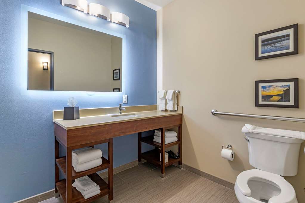 Comfort Suites Cedar Park Austin Northwest - photo 11