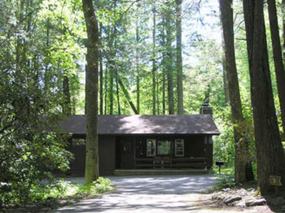 Cabins At Twinbrook Resort - photo 17