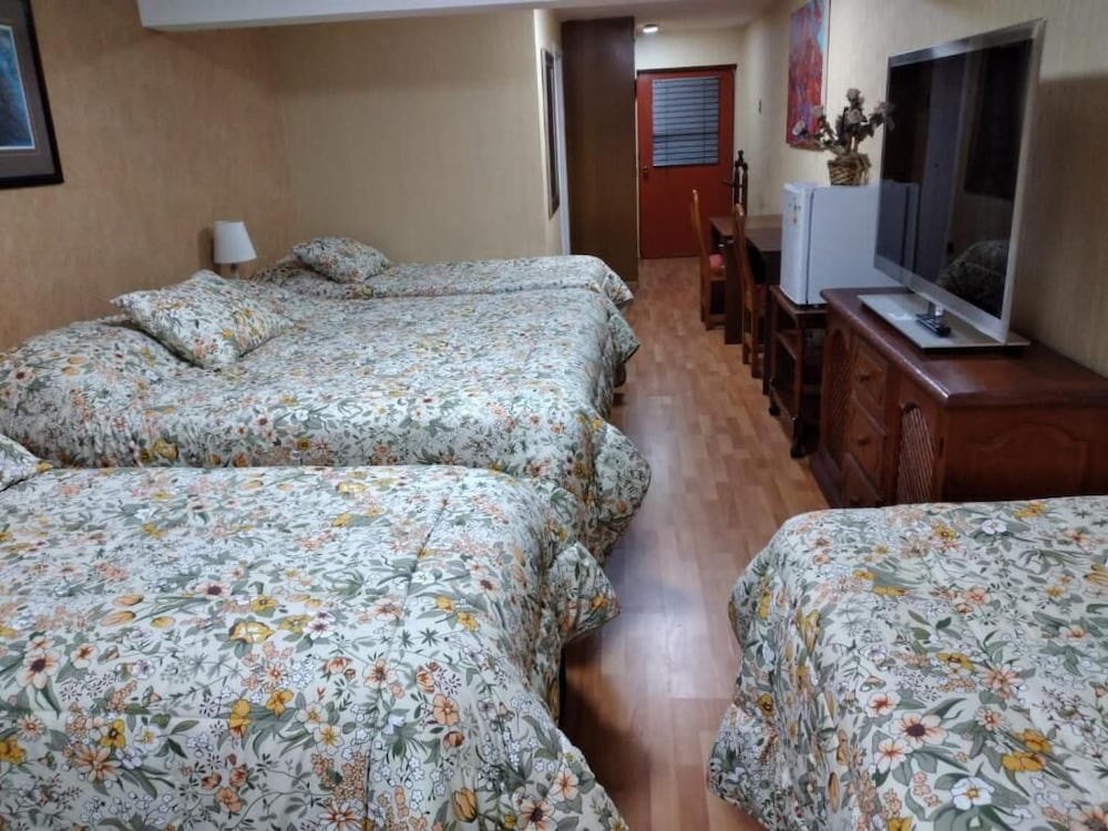 New Hotel Cruz Del Sur — Concepcion — photo 3