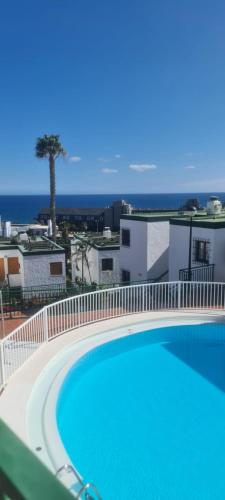 Flamboyan in San Agustin, Spain