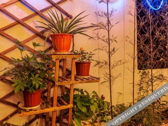 Jiuqi Xitang Guyun Boutique Garden Hotel in Jiashan, People's Republic of China