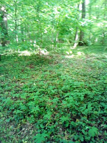 Appartementt a Louer a Rennes in Rennes, France