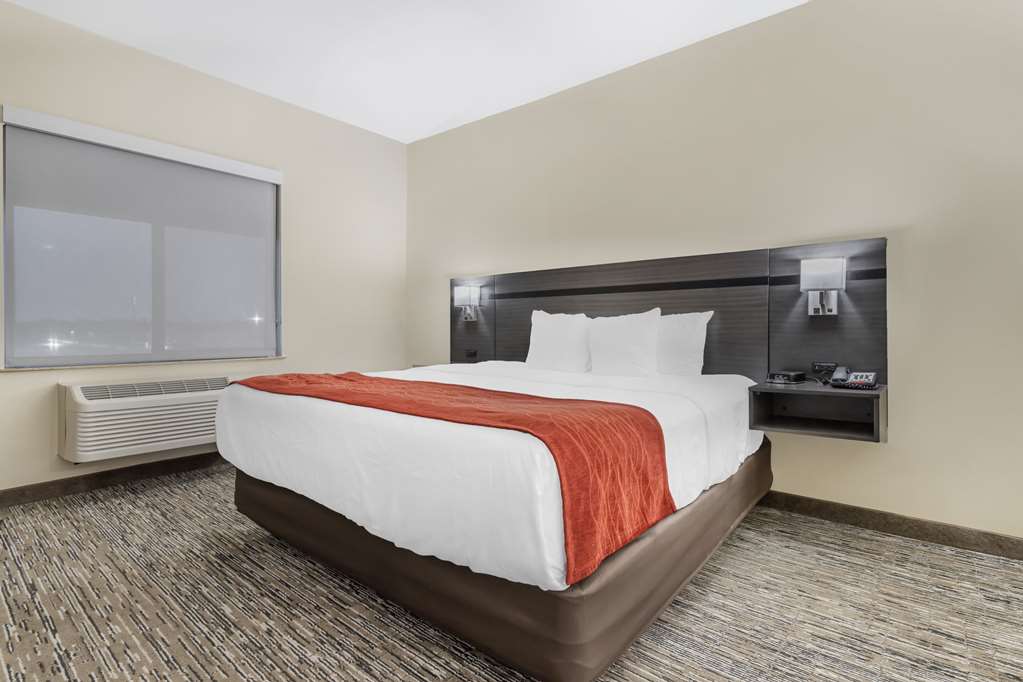 Comfort Inn Orange I 10 - photo 22
