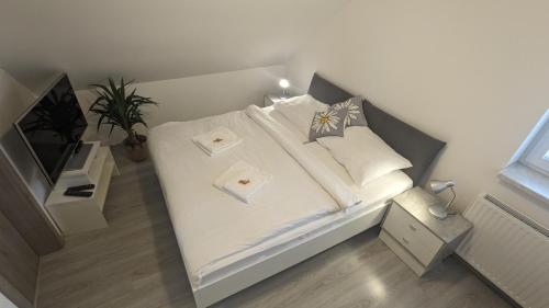 Penzion Janoušek Motorsport Český Krumlov in Blansko, Czech Republic