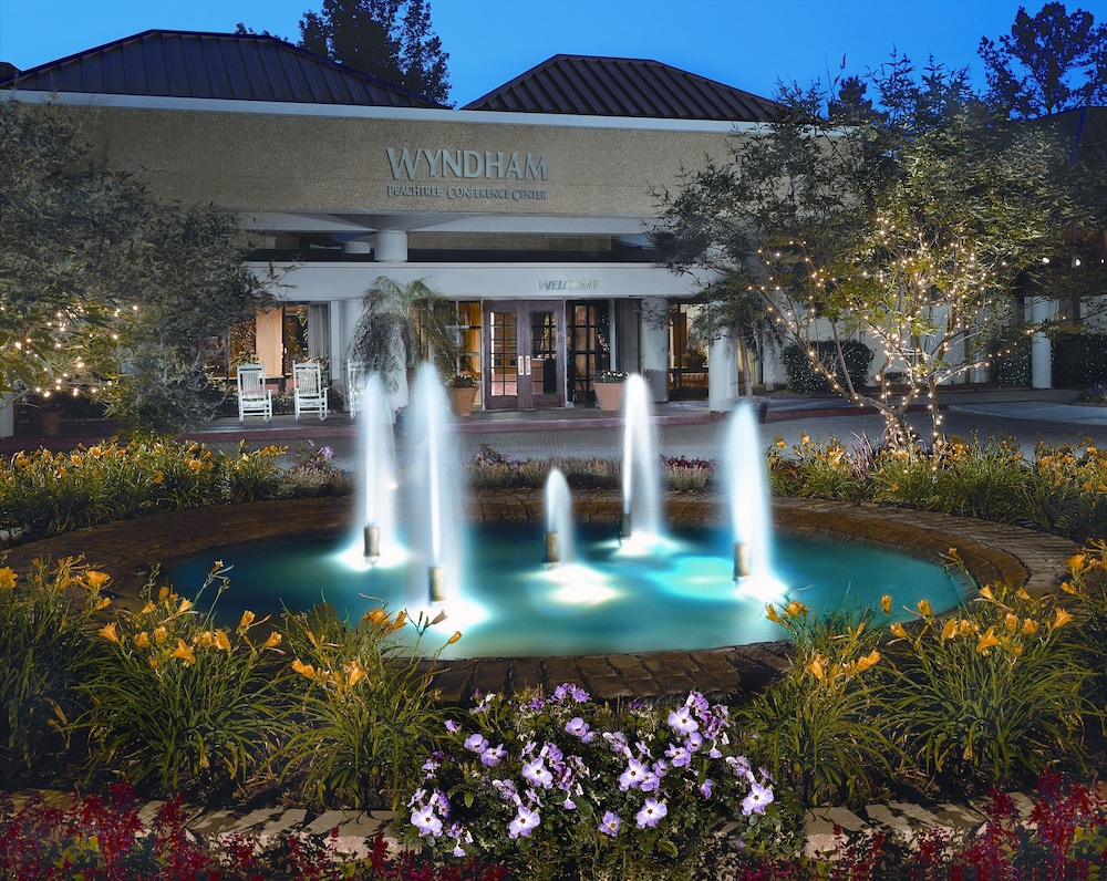 Hilton Peachtree City Atlanta Hotel & Conference Center - photo 90