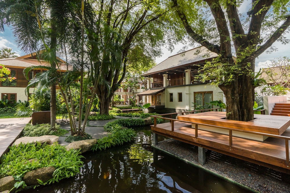 שטחי חוץ / גן