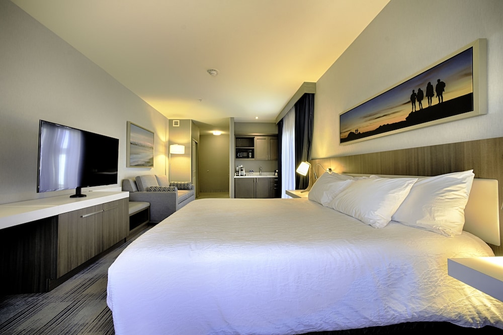 Hilton Garden Inn Santa Barbara Goleta - photo 17