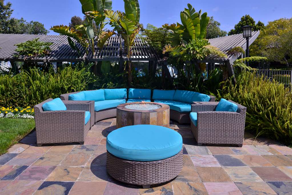 Best Western Corte Madera Inn - photo 8