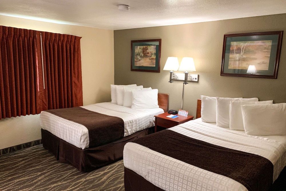 Roadside Motel - photo 3