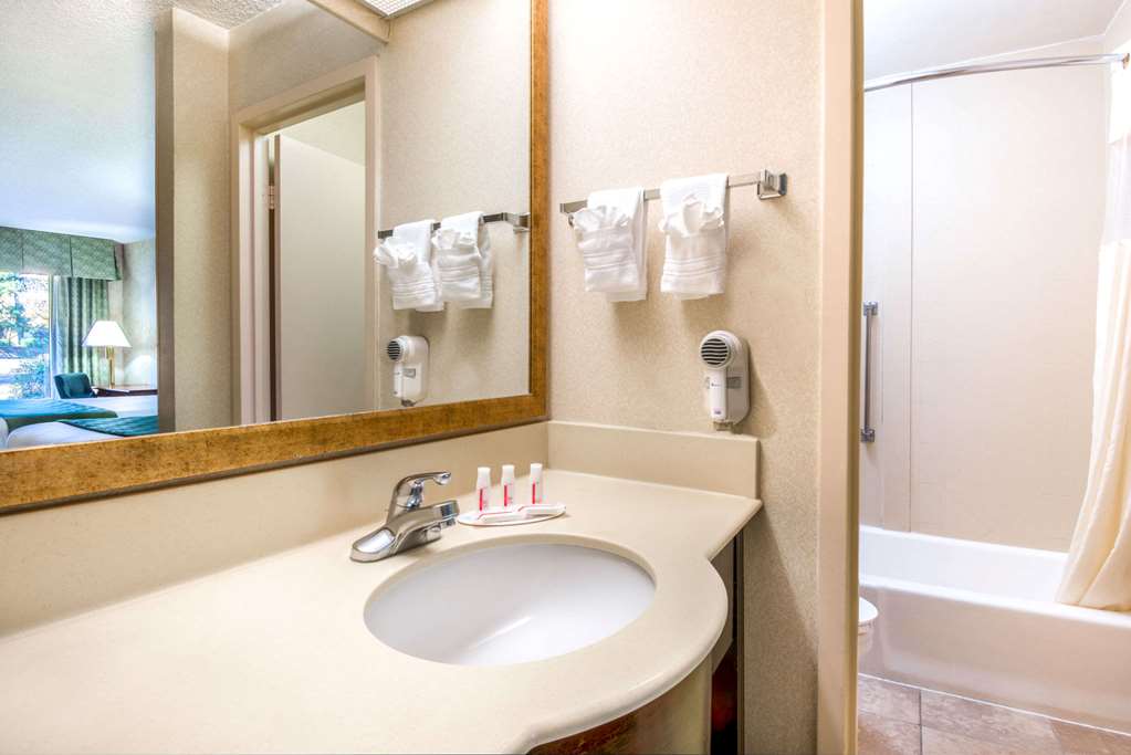 Days Inn & Suites by Wyndham Albuquerque North - photo 5