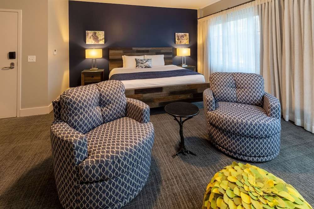 The Residences at Biltmore - photo 10