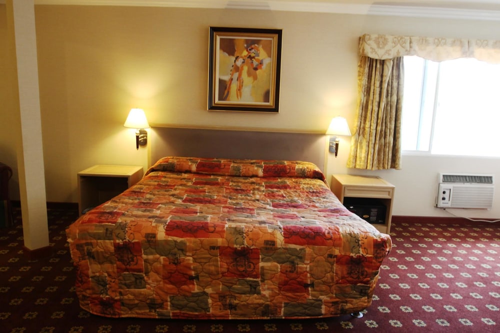 Metro Plaza Hotel - photo 11