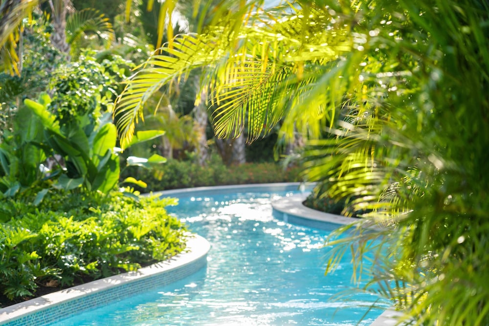 The Ritz Carlton Naples Tiburón - photo 55