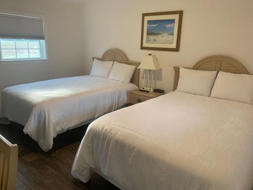 Cape Motel - photo 38