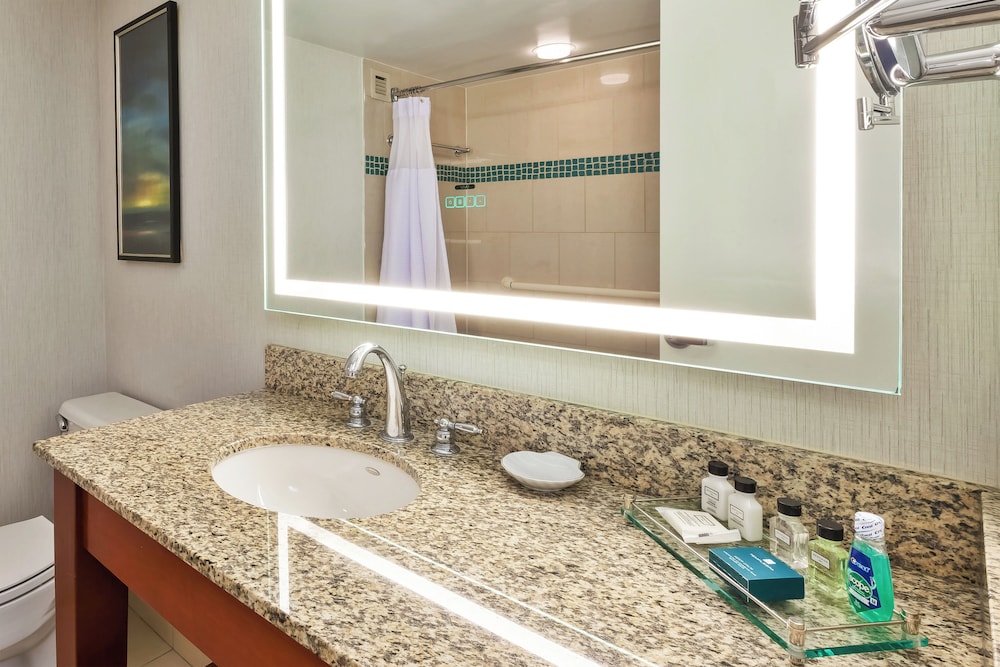 Crowne Plaza Dulles Airport by IHG - photo 63