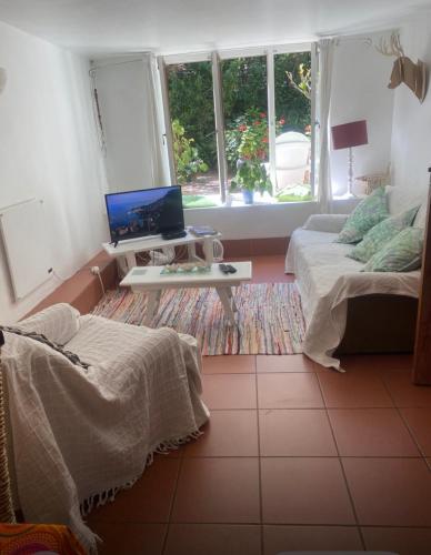 Tranquil Olive Tree Garden Apartment 2