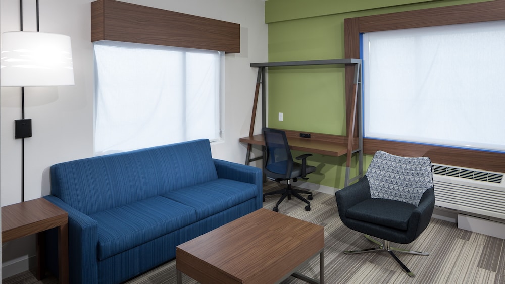 Holiday Inn Express & Suites Orlando at SeaWorld by IHG - photo 20