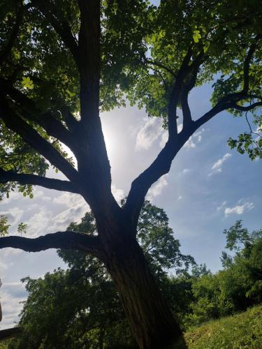 Vikendica Ninica in Irig, Serbia