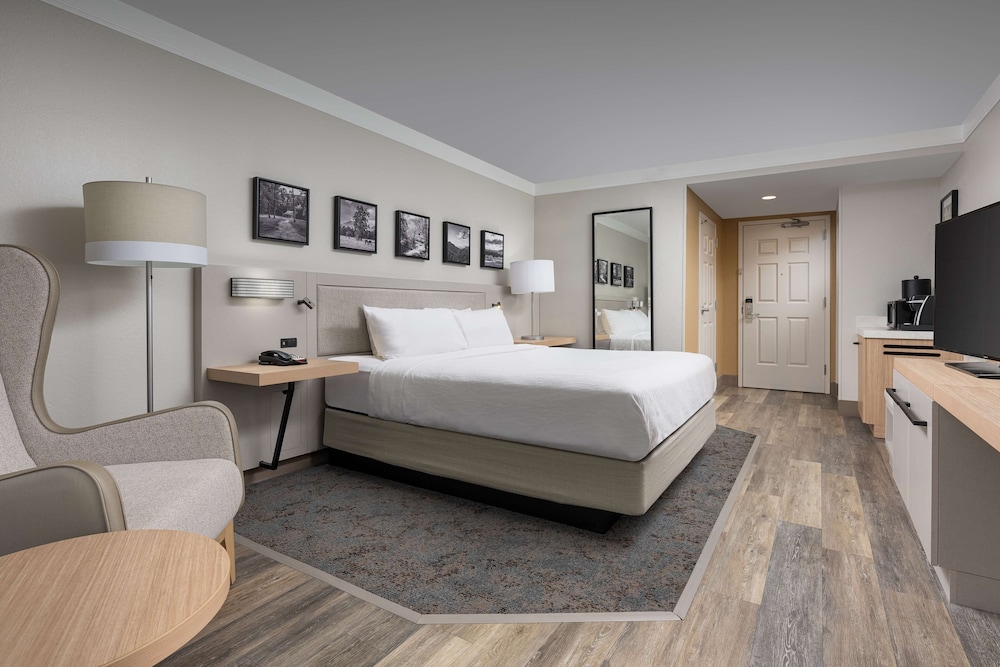 Hilton Garden Inn Chattanooga Downtown - photo 12