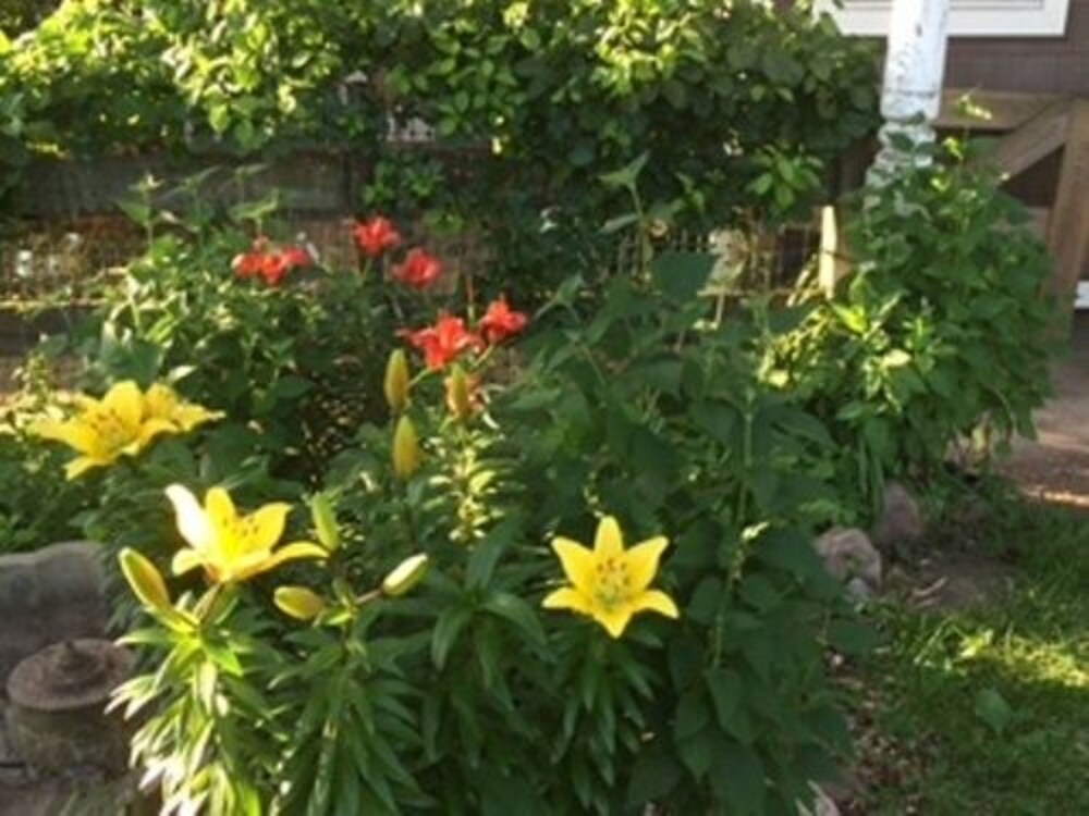 Flint Hill Farm AG - photo 38