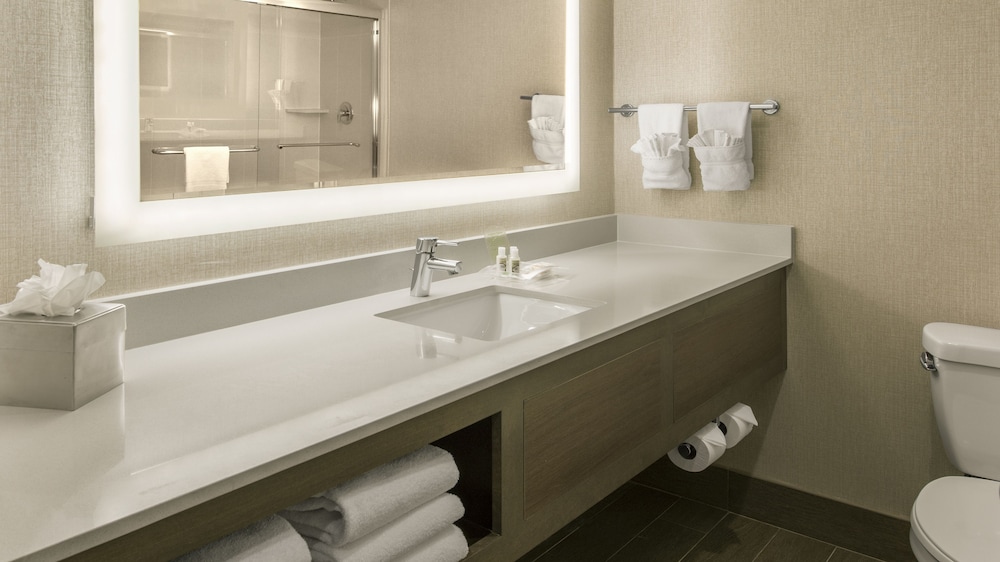 Holiday Inn Denver Lakewood by IHG - photo 23