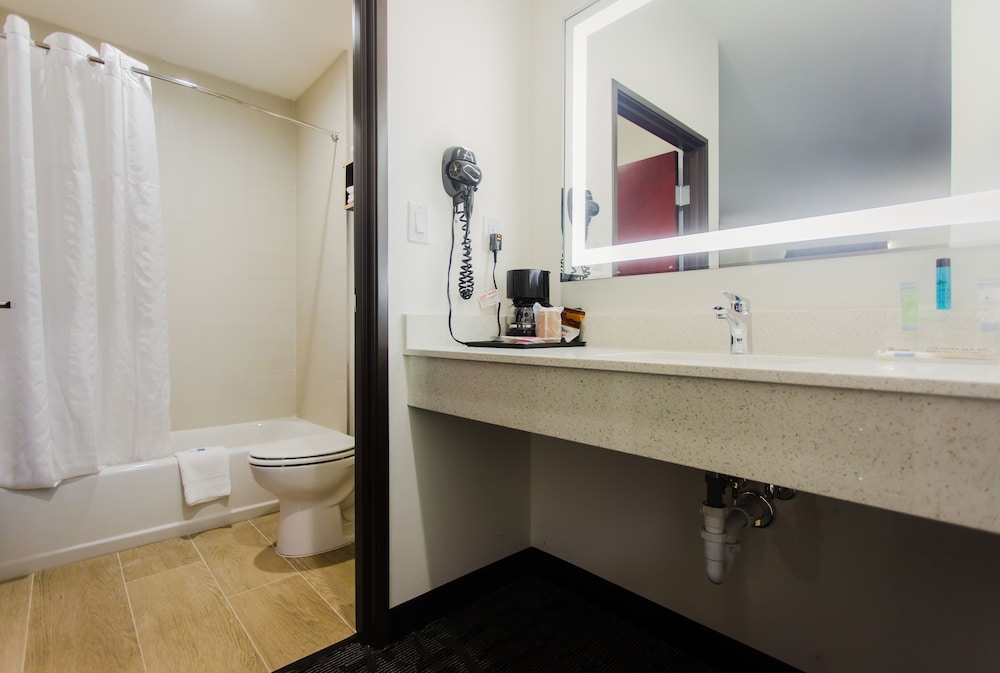 Palacio Royale Inn Boutique Katy - photo 51