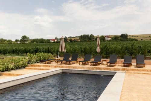 Gramofon INN - last minute hotel in Iordacheanu