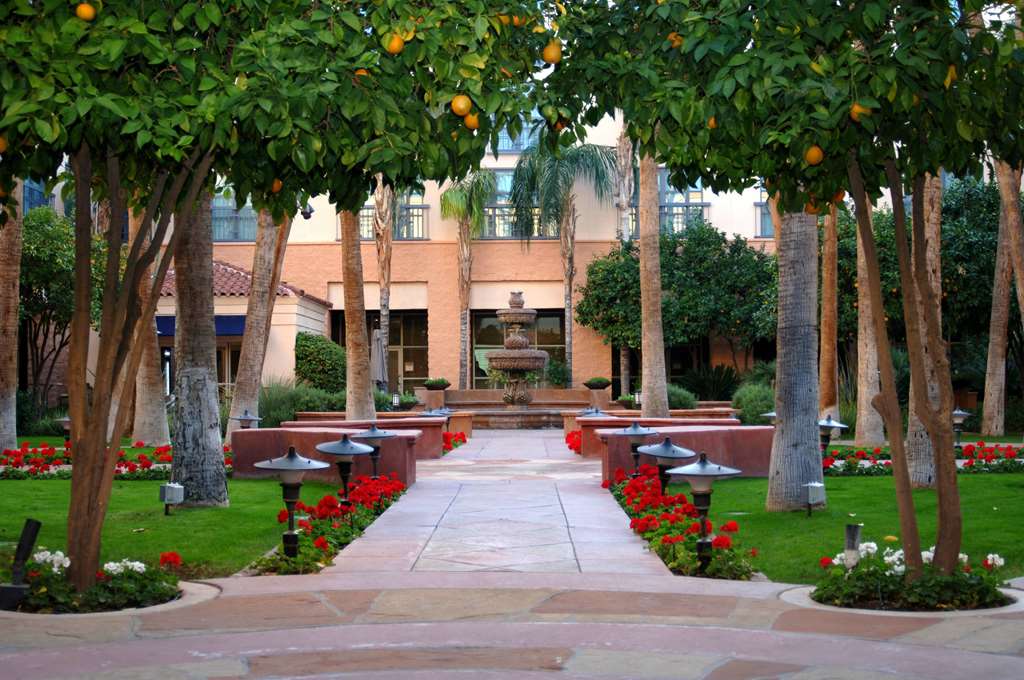 Tempe Mission Palms a Destination by Hyatt Hotel - photo 8