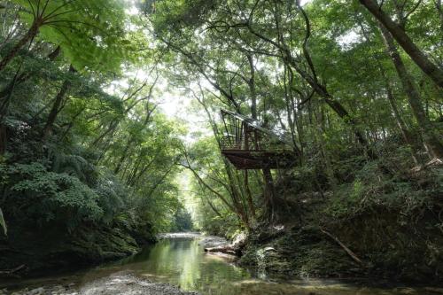 Treeful Treehouse Sustainable Resort in Nago, Japan