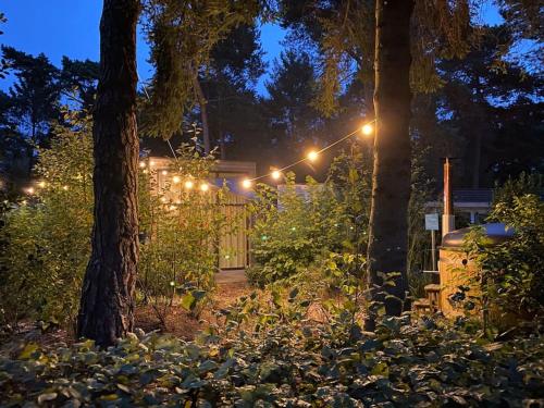 Tiny House op de Veluwe — 4-Star Luxury Hotel in Beekbergen, Netherlands