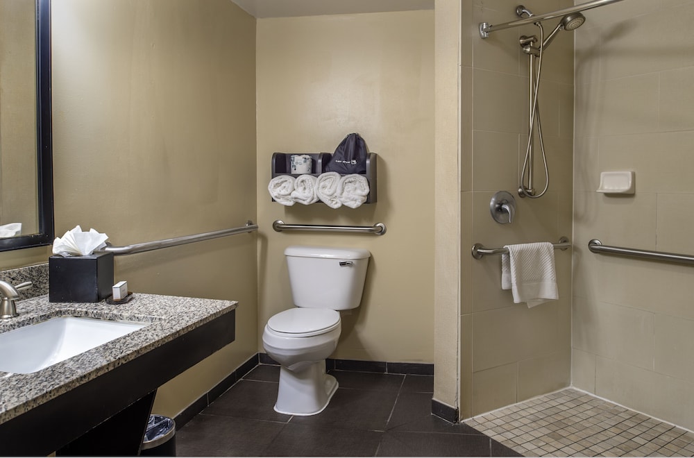 Embassy Suites by Hilton St. Louis Airport - photo 29