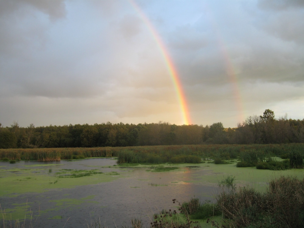 Northwoods Lodging - photo 40