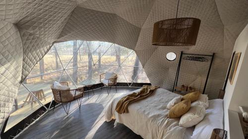 Deer Glamping - carbon neutral hotel in Unknown City