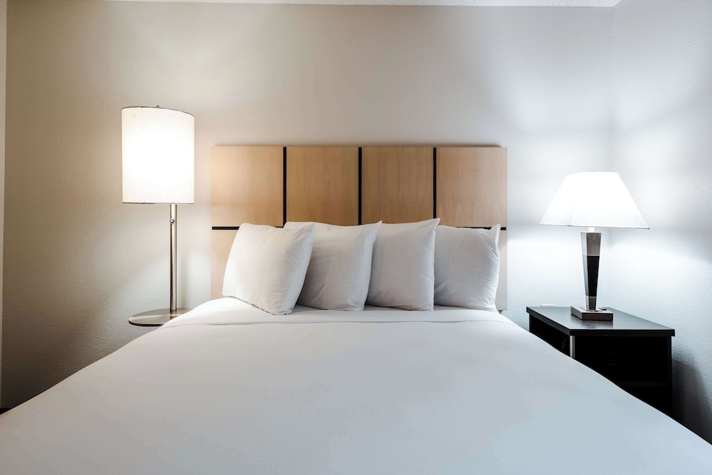 Sonesta Simply Suites Fort Worth - photo 8
