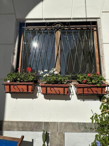 La finestra sugli archi in Palermo, Italy