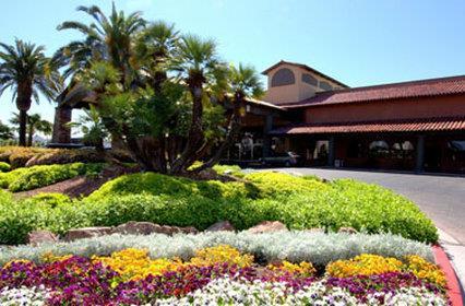 Alexis Park All Suite Resort - photo 14
