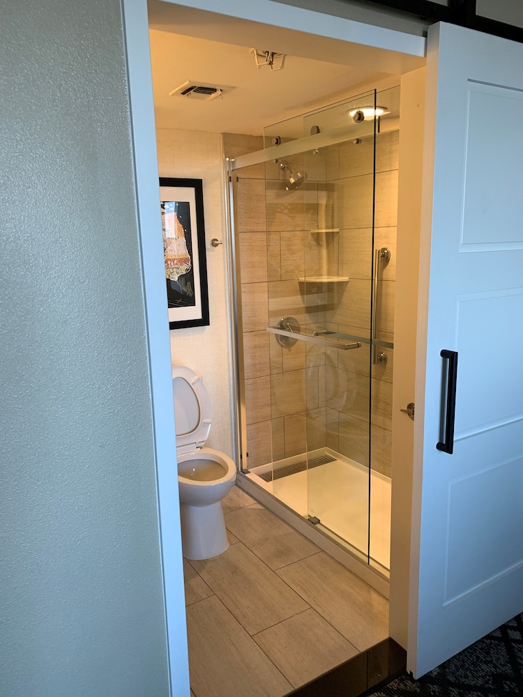 Embassy Suites by Hilton San Francisco Airport Oyster Point - photo 27