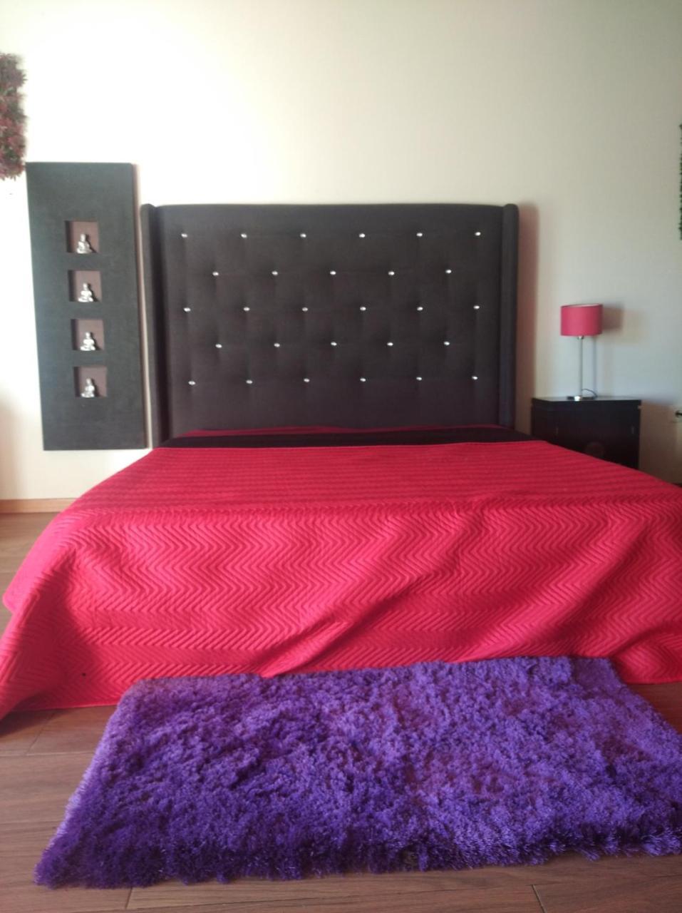 Douro E Ponte 516 E Passadicos Do Paiva in Cinfaes, Portugal