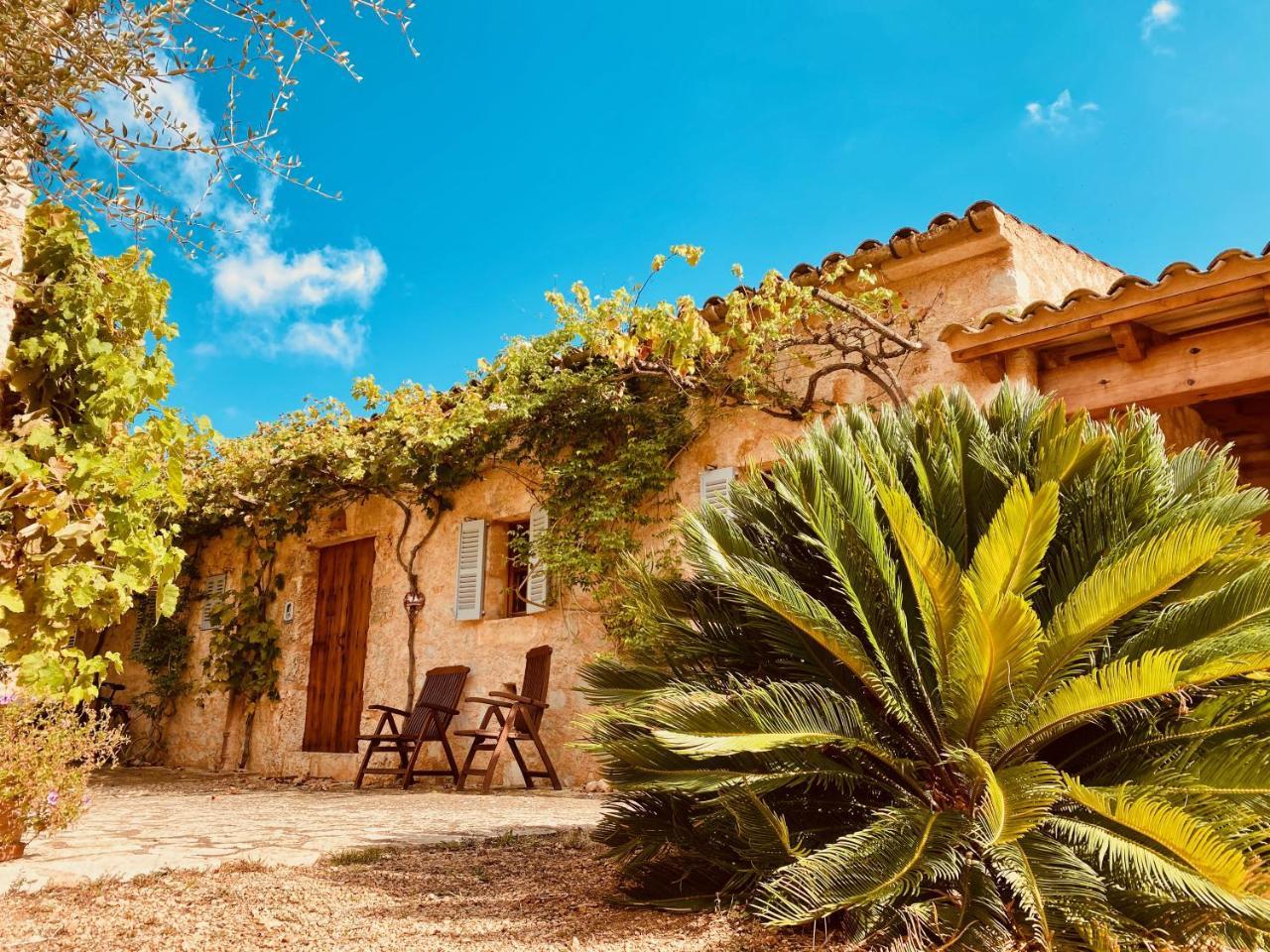 Finca Sa Moleta Nova - carbon neutral hotel in Unknown City