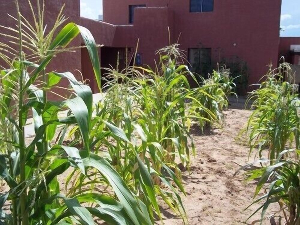 Hopi Cultural Center - photo 31