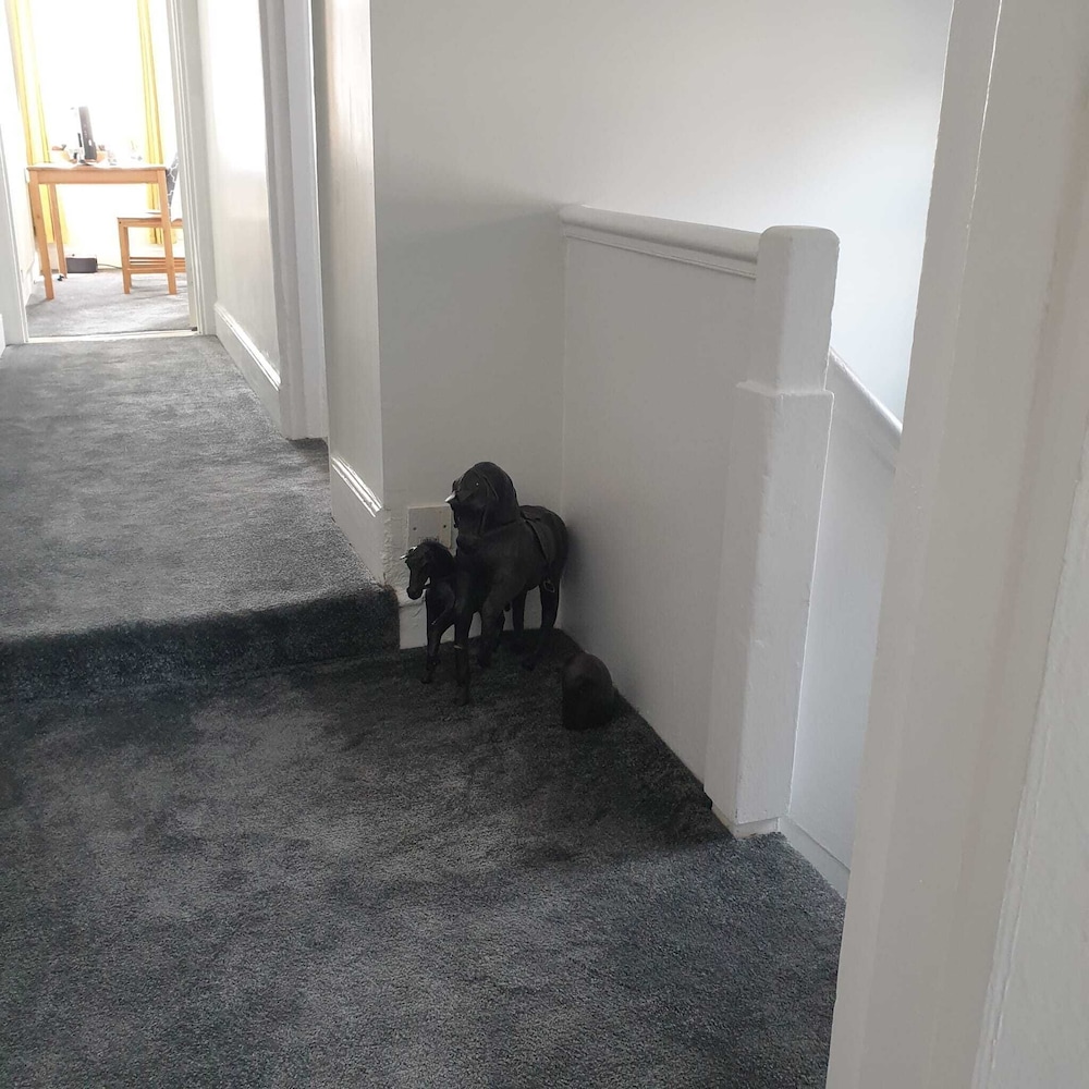 Travellers’ Choice in Harwich, United Kingdom