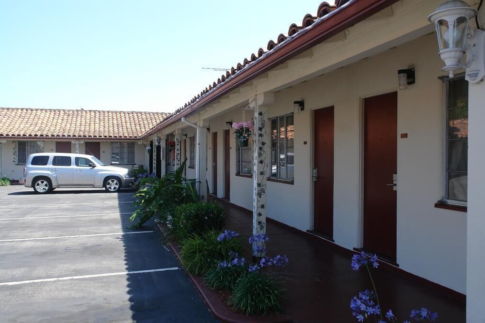Golden Bear Hotel - photo 13