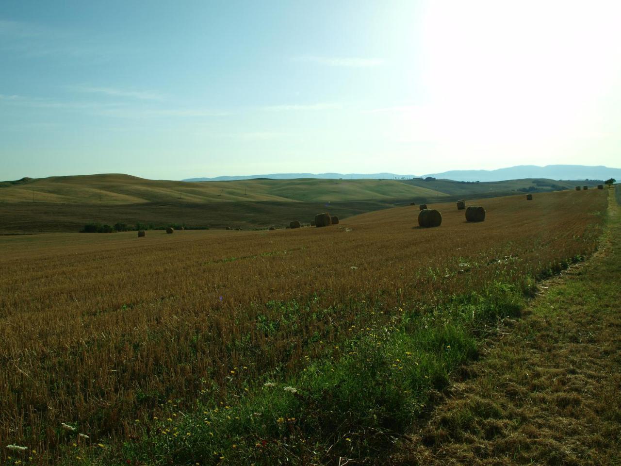 Santa Margherita — hotel in Castiglione D'orcia